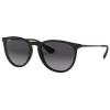 Ray-Ban Erika RB4171 622/8G