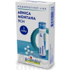 Laboratoires BOIRON ARNICA MONTANA - 3x4 g