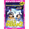 Malý indián 2. - DVD