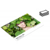 Epson A4/100 FOMEI PRO Gloss 265