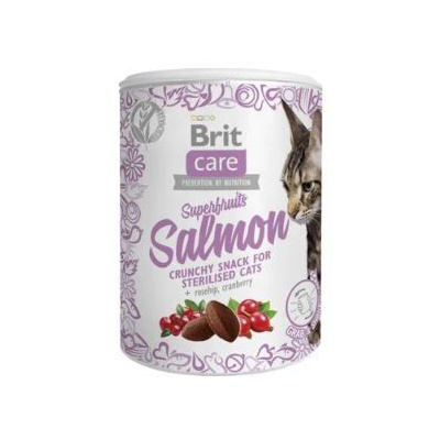 Brit Care Cat Snack Superfruits Salmon 100 g