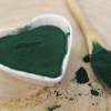 Bioruža Chlorela - mletá - Chlorella vulgaris 50 g