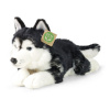 Plyšový pes husky 36 cm ECO-FRIENDLY