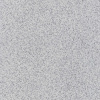 PVC podlaha PIONIEER 602-01 NEW
