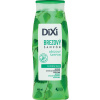 Dixi brezový šampón 400 ml