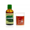 Levandule - bylinné kapky (tinktura) 50 ml - doplněk stravy
