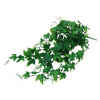 Lucky Reptile Jungle Plants Ivy Bush cca 50 cm