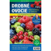 Drobné ovocie - Lucia Harničárová