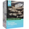 Sada na pestovanie húb Planto hliva ustricová pleurotus ostreatus