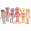 Hape Magnetické puzzle Obliekanie