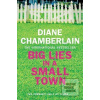 Big Lies in a Small Town (Diane Chamberlainová)