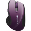 Myš Canyon CNS-CMSW01PU fialová (CNS-CMSW01P)