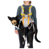 Postroj na psa Ruffwear BackTrak™ Dog Evacuation Kit Veľkosť: M / Farba: sivá/oranžová