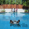 Sparks: Hippopotamus - Sparks