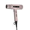 Wahl Vanquish vysoušeč vlasů 1600 W Růžové zlato