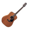 Takamine GD11M-NS