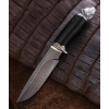 Nord Crown Alabay