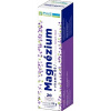 Plus Lékáreň Magnézium + Vitamín B6 tbl eff s príchuťou čiernych ríbezlí 20 ks
