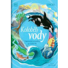 Koloběh vody Fascinující proměny ve vodní říši