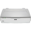 Epson Expression 13000XL Plochý skener 2400 x 4800 DPI A3 Biela (B11B257401)