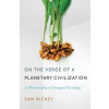 On the Verge of a Planetary Civilization