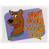 Edicola Príslušenstvo Kovový tanier - Scooby Doo 1:1 Purple Brown