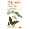 First Guide to Butterflies (Amy Bartlett Wright,Roger Tory Peterson,Paul A. Opler)(Brožovaná)
