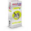 Bravecto Plus Cat spot-on 112,5 mg / 5,6 mg roztok pre malé mačky (1,2-2,8 kg)