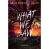 What We Saw - Hahn Mary Downing
