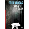 V mrazivých časech - Fred Vargas