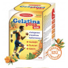 GELATINA PLUS ŽELÉ - doplněk stravy - kloubní aparát 120 kapslí TEREZIA