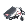 Nabíječka WILSTAR 12V/10A pro olověné AGM/GEL akumulátory (40 - 130Ah) - NAPB-WI12-10000