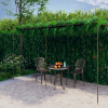 Záhradná pergola, starožitná hnedá 6x3x2,5 m, železo 313999_sk