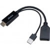 AKASA kabel redukce HDMI na DisplayPort, with USB power cable 4K@60Hz, 25cm AK-CBHD24-25BK