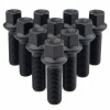 Skrutka Farad M14x1.50 guľový kľúč 17 40 mm 10 ks