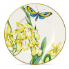 Porcelánový dezertný tanier 16 cm - Amazonia Anmut - Villeroy & Boch