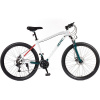 Olpran Canis man 27,5