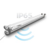 PROLUX G® IP65 72W/SP
