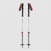 Black Diamond Expedition 2 Ski Poles 155 cm; Šedá hole