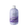 Inebrya Grey By Day Gentle Reflex Shampoo – Jemný tónovací šampón pre šedé a blond vlasy 300 ml