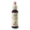 034 - WATER VIOLET - 20 ml - BACHOVKY