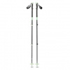 Black Diamond Expedition 3 Ski Poles 140 cm; Zelená hole