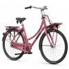 Mestsky bicykel - Batavus Packd 3 / Cassis 61 City Bike (Batavus Packd 3 / Cassis 61 City Bike)