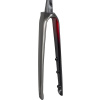 TREK Domane SL 5 48R Mercury/Crimson 355mm, 48mm