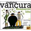 Rozmarné léto (Vladislav Vančura)