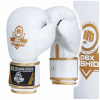 Boxerské rukavice DBX BUSHIDO DBD-B-2 12 oz