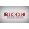 Ricoh Developer Black (D0BK3000)