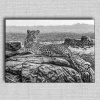 Obraz Leopard 01 Čierna 100x70 cm