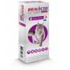 Bravecto Plus Cat spot-on 500 mg / 25 mg roztok pre veľké mačky (>6,25-12,5 kg)