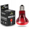 Žiarovka Terrario TR NANGOLA 25W 25 W